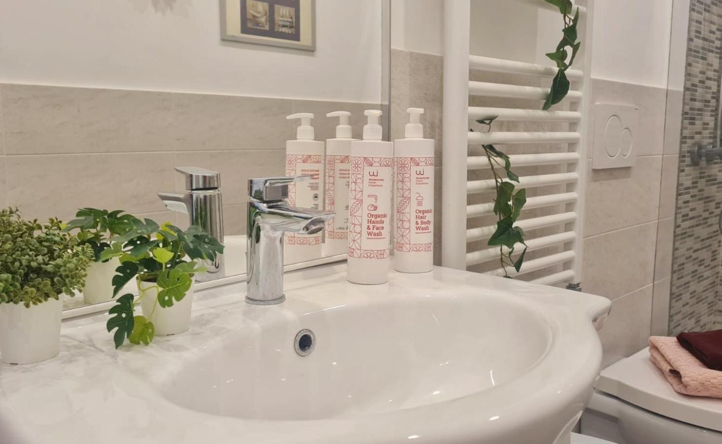 Conte Verde Apartments トリノ エクステリア 写真