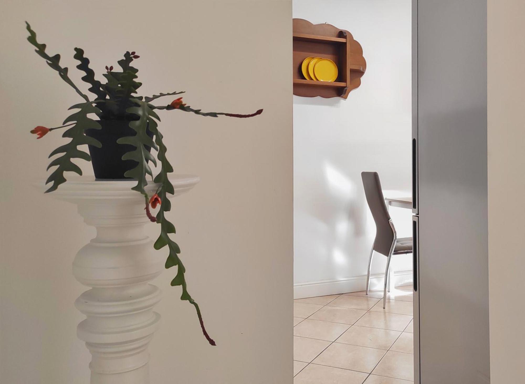 Conte Verde Apartments トリノ エクステリア 写真